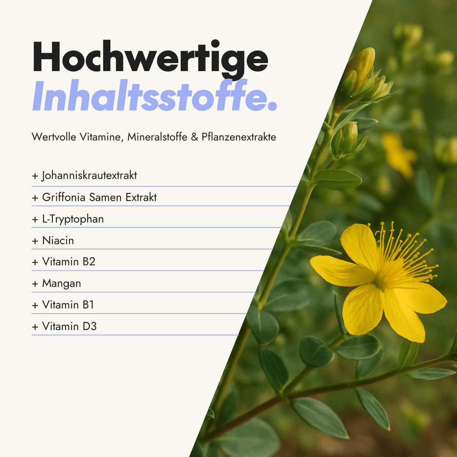 NEU Produktbild – Inhaltsstoffe der Zen Mood Kapseln