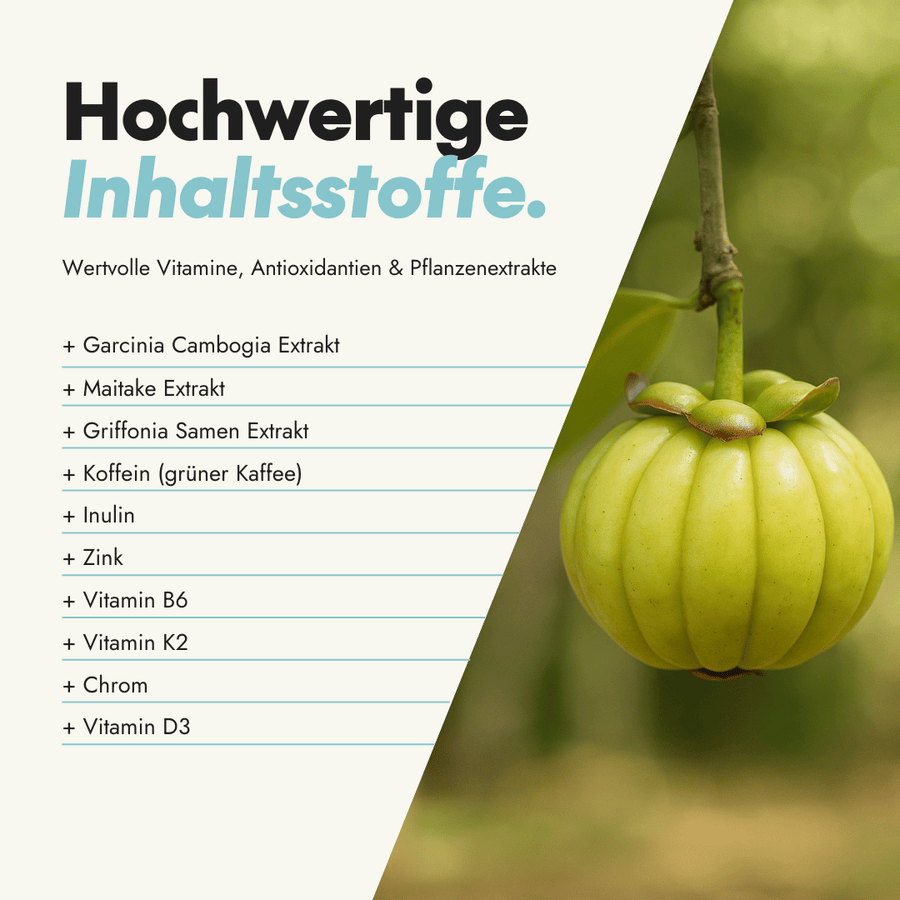 NEU Produktbild – Inhaltsstoffe der Metabol Nahrungsergänzung