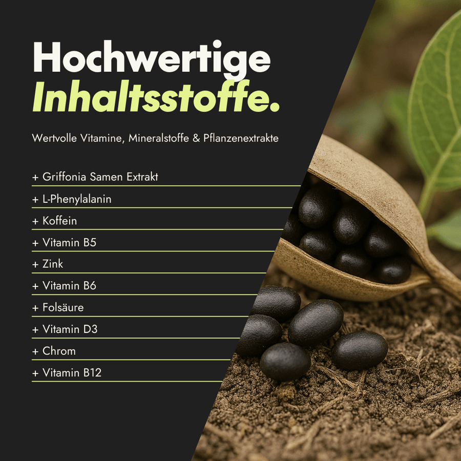 NEU Produktbild – Inhaltsstoffe der Active Brain Performance Nahrungsergänzung