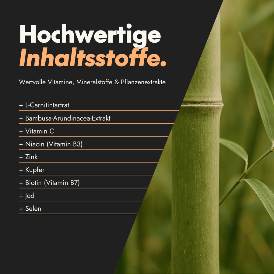 NEU Produktbild – Inhaltsstoffe der Hair & Beard Nahrungsergänzung
