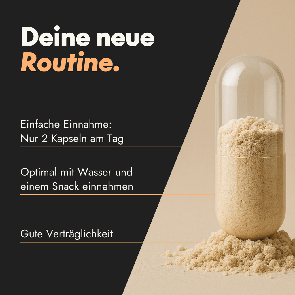 NEU Produktbild Visualisierung der Einnahmeempfehlung für Serotalin Active Men T-Kapseln