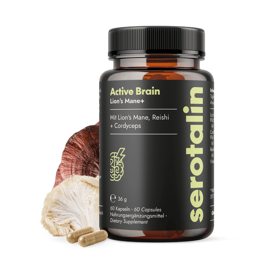 NEU Produktbild – Hauptdarstellung der Serotalin Active Brain Lion’s Mane Nahrungsergänzung