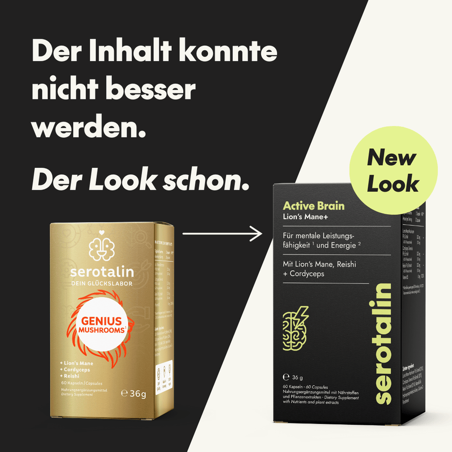 NEU Produktbild – Neues Verpackungsdesign der Lion’s Mane Formel
