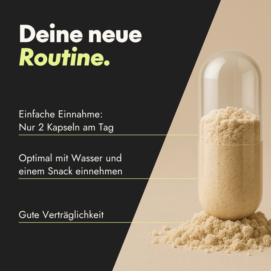 NEU Produktbild – Einnahmeempfehlung für Serotalin Lion’s Mane