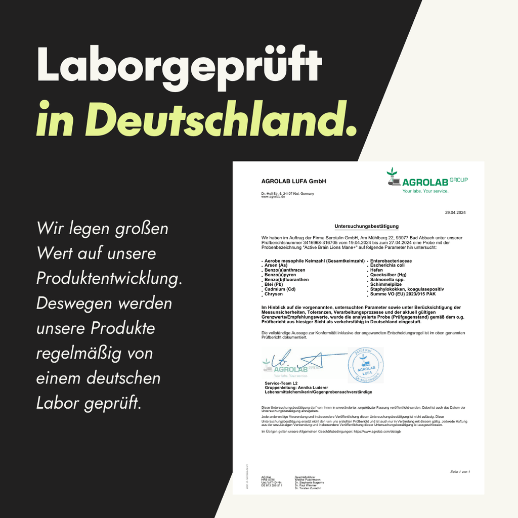 NEU Produktbild – Laborbericht zu den Active Brain Lion’s Mane Kapseln