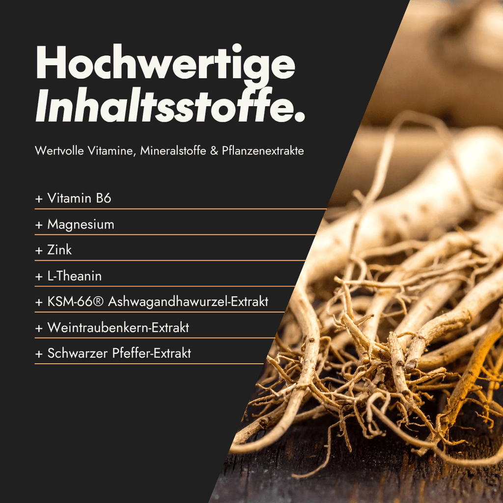 NEU Produktbild – Inhaltsstoffe der Serotalin Active Men T-Kapseln Night