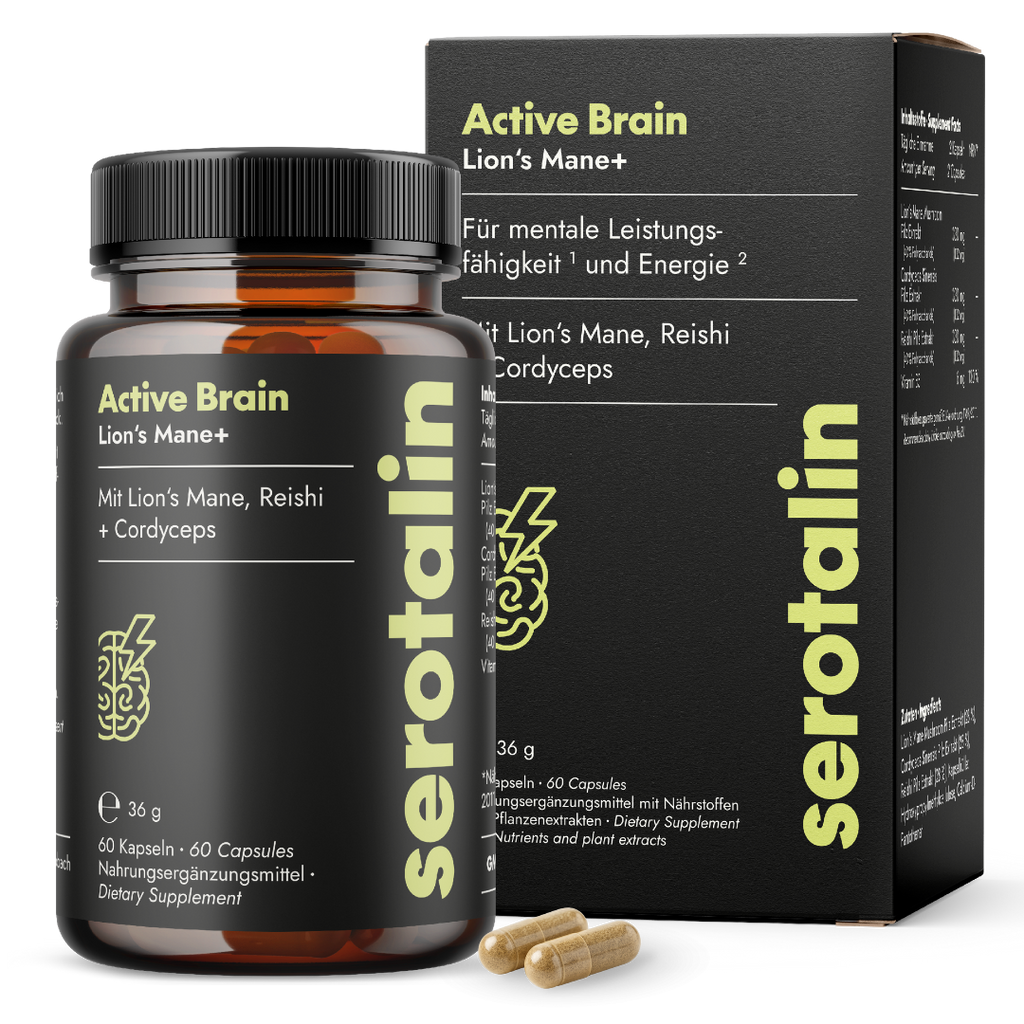 NEU Produktbild mit Verpackung – Hauptdarstellung der Serotalin Active Brain Lion’s Mane Nahrungsergänzung