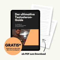 Testo Guide